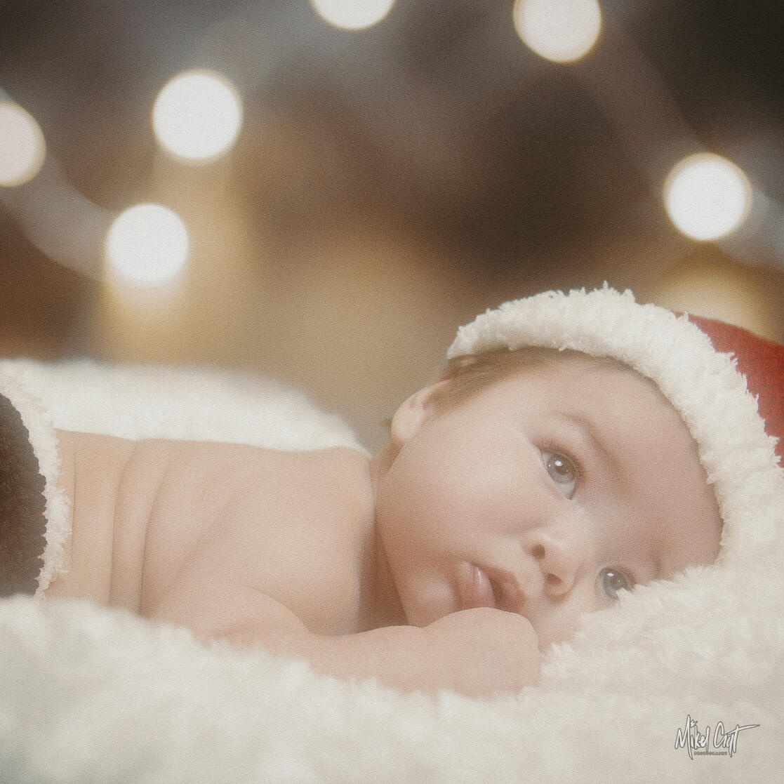 Holiday Christmas by Mikel Croft Photography Holiday Christmas by Mikel Croft Photography